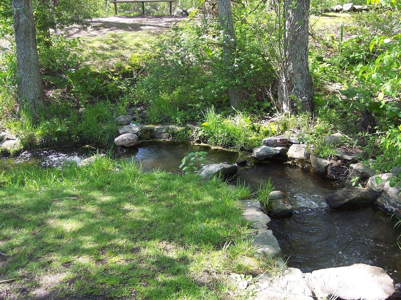Bubbling Brooks