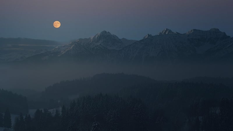 Moonlight Garden