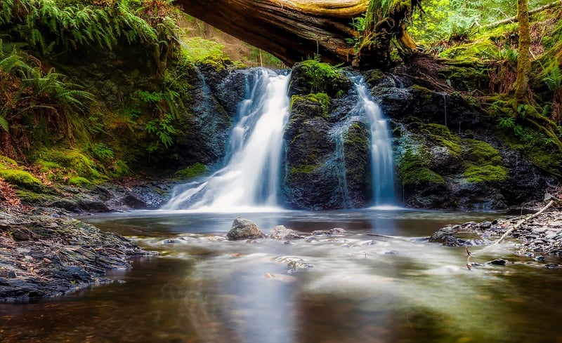 Bubbling Brook